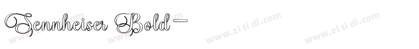 Sennheiser Bold字体转换 Sennheiser Bold字体转换